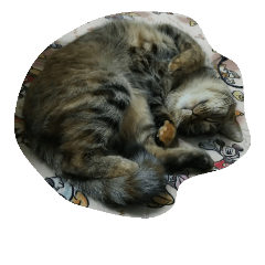[LINEスタンプ] むぎ パート1