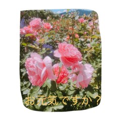[LINEスタンプ] 薔薇と一緒に
