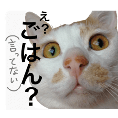 [LINEスタンプ] ハナテン