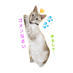 [LINEスタンプ] いやしのりんたろう