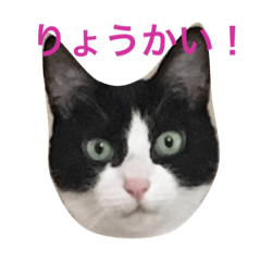 [LINEスタンプ] とらたちの気持ち