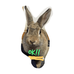 [LINEスタンプ] muーうさぎ
