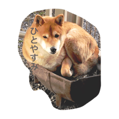 [LINEスタンプ] 気ままに行こうよ