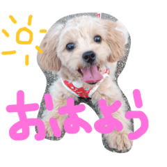 [LINEスタンプ] ももたんスタンプ
