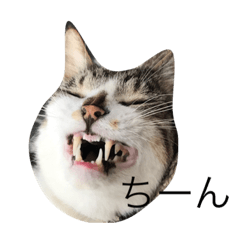 [LINEスタンプ] 犬.猫.日常使い 