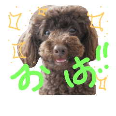 [LINEスタンプ] ガジュマルと仲間たちの挨拶