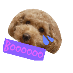 [LINEスタンプ] 日常で使えそうなモカりん