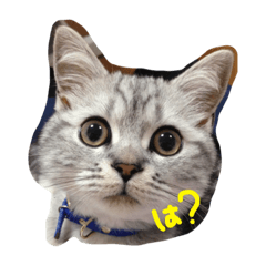 [LINEスタンプ] るなのすたんぷ