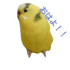 [LINEスタンプ] プー・むーん