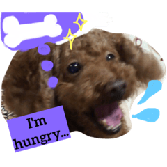 [LINEスタンプ] まぬけな犬。