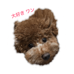 [LINEスタンプ] 池田 コロン