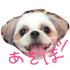 [LINEスタンプ] めめさま