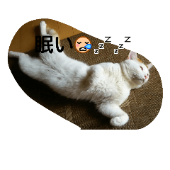 [LINEスタンプ] 自分の猫