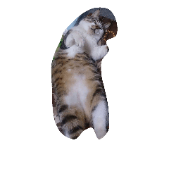[LINEスタンプ] 優雅 