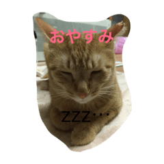 [LINEスタンプ] さくきち 