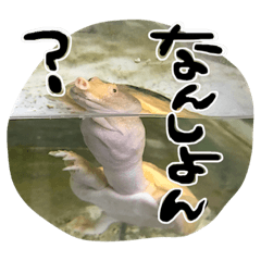 [LINEスタンプ] 地元弁！