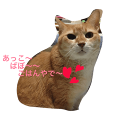 [LINEスタンプ] 家族っておもしろいわ