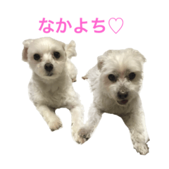 [LINEスタンプ] マルっこ