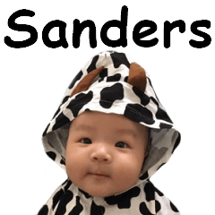 [LINEスタンプ] Sanders