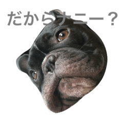 [LINEスタンプ] フレブルのTurbo！