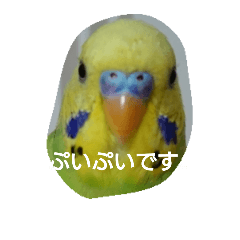 [LINEスタンプ] ぷいぷいとぷくぷく