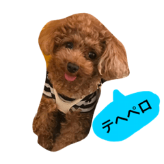 [LINEスタンプ] Louie the Toy Poodle