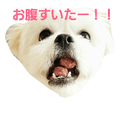 [LINEスタンプ] しゃくれのサリー