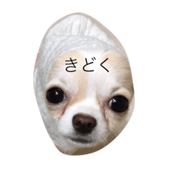 [LINEスタンプ] Tofu day
