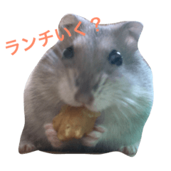 [LINEスタンプ] ノンタン