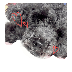 [LINEスタンプ] くろぷーちゃんとお友だち♡