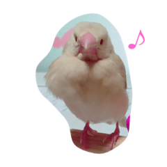 [LINEスタンプ] 犬猫鳥