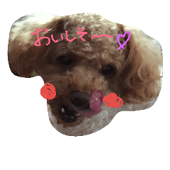 [LINEスタンプ] トイプ～くん