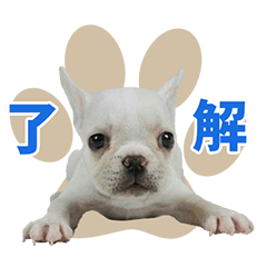 [LINEスタンプ] フレブルのゴローさん