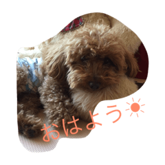 [LINEスタンプ] ぽんずのひとり言