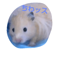 [LINEスタンプ] それいけ！ネズミーズ