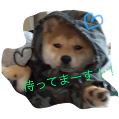 [LINEスタンプ] タローくん❤️（1）