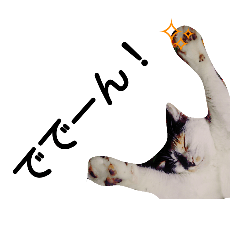 [LINEスタンプ] 鼻黒美人♡猫山神楽