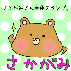 [LINEスタンプ] さかがみさん専用スタンプの画像（メイン）