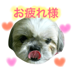 [LINEスタンプ] ひめスタンプ②..
