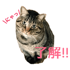 [LINEスタンプ] レオたんスタンプ2