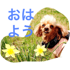 [LINEスタンプ] 小春と手鞠