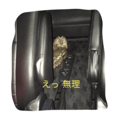 [LINEスタンプ] 何となく