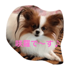 [LINEスタンプ] 咲羅 ＆ MOCAH