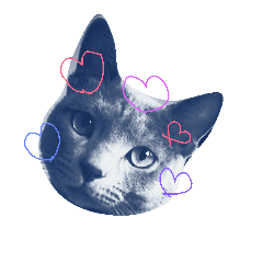 [LINEスタンプ] ペットのニコルくん