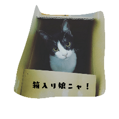 [LINEスタンプ] ゆずの日々