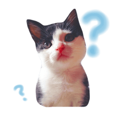 [LINEスタンプ] 我が家の愉快な仲間たち
