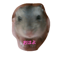 [LINEスタンプ] それいけ！ネズミーズ3