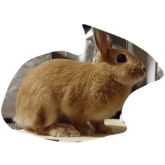 [LINEスタンプ] ネザーランド