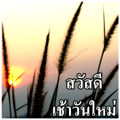 [LINEスタンプ] Thai Slogan