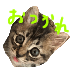 [LINEスタンプ] 卯月さん